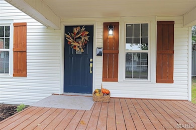 219 Heeb St, Chaffee, MO 63740 - photo 4