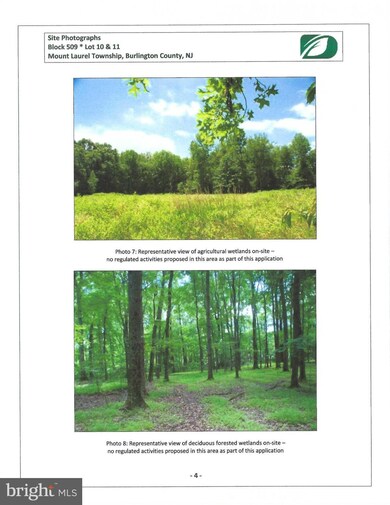 14 Marter Ave, Mount Laurel Township, NJ 08054 - photo 6