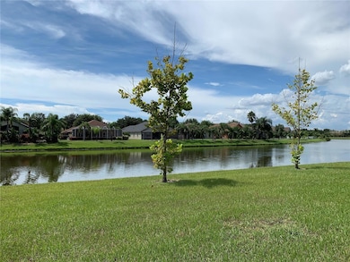 7037 Towering Spruce Dr, Riverview, FL 33578 - photo 4