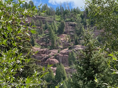 TBD Redstone Blvd, Redstone, CO 81623 - photo 5