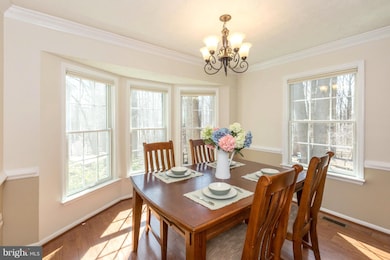 11919 Gold Needle Way, Columbia, MD 21044 - photo 5