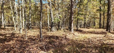 0 Highway 411 SE unit 7692418, Rome, GA 30161 - photo 2