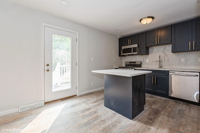 221 S Whittaker St, New Buffalo, MI 49117 - photo 4