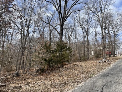 4 Rockdale Rd, Kimberling City, MO 65686 - photo 6