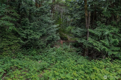 0 Highway 101 unit NWM2392594, Brinnon, WA 98320 - photo 7