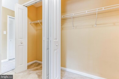 10570 Main St unit 509, Fairfax, VA 22030 - photo 7