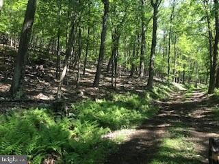 0 O Short Rd unit WVHD105066, Baker, WV 26801 - photo 6