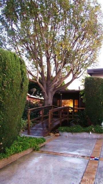 Stunning tree, unique artistic bridge appoint this