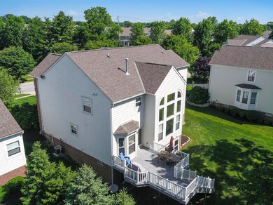 06_DJI_0084_1_mls