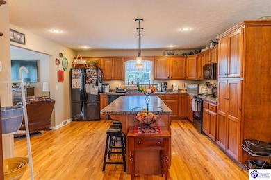 241 High St, Glendale, KY 42740 - photo 5