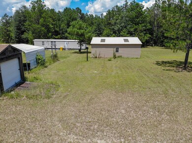 399 Helena-Chauncey Rd, Helena, GA 31037 - photo 3