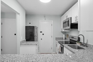 29 Custer St unit 201, Jamaica Plain, MA 02130 - photo 4