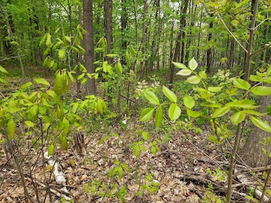 Dear Lake Estates Lot 2
