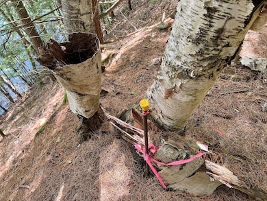 568 Pattagumpus Rd, Medway, ME 04460 - photo 7