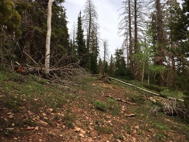 #1 & 2 Ski View Est Un C Blk A, Brian Head, UT 84719 - photo 3