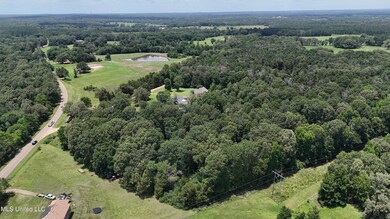 DJI_20250619113323_0062_D