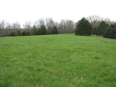 Nice & Level with Trees All Around