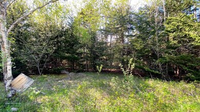 IMG_7149