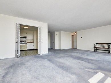 Imperial Towers unit 704, Chestnut Hill, MA 02467 - photo 6