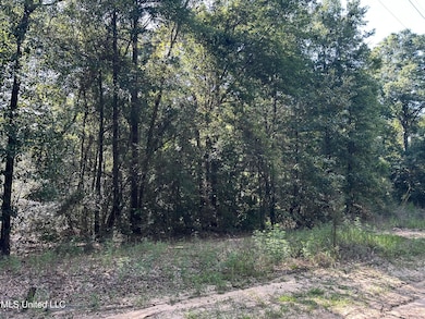 0 Lazy b Rd, Lumberton, MS 39455 - photo 2