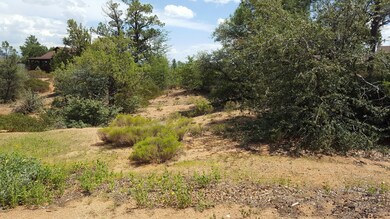 20160825_130226_resized_1