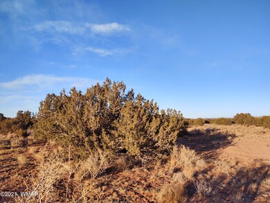 IMG_20210228_173042139_HDR