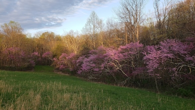 11213 Yellow Bank Rd, Laurel, IN 47024 - photo 2