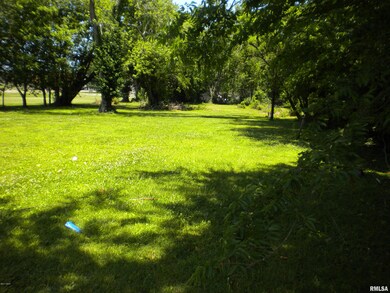 1208 W Raymond St, Harrisburg, IL 62946 - photo 4