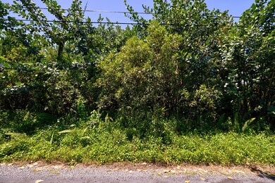 0 Amau Rd unit 720360, Keaau, HI 96749 - photo 3
