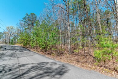 Lot 16 Country Hills Rd, Ellijay, GA 30540 - photo 4