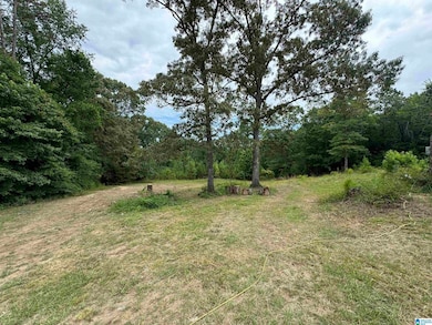 3917 County Road 1113, Troy, AL 36079 - photo 2