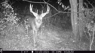 +/-25 Acres Bee Ln, Lancaster, WI 53813 - photo 5