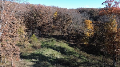 35 Doe Ave, Drakesville, IA 52552 - photo 2