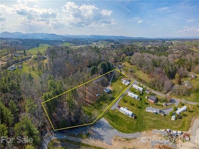 1130 Old Leicester Hwy, Asheville, NC 28806 - photo 2