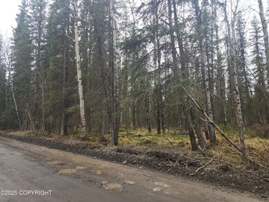 Tract K Byington Rd, Kasilof, AK 99610 - photo 5