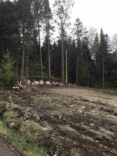 0 Town Line Rd unit 4814957, Colebrook, NH 03576 - photo 4