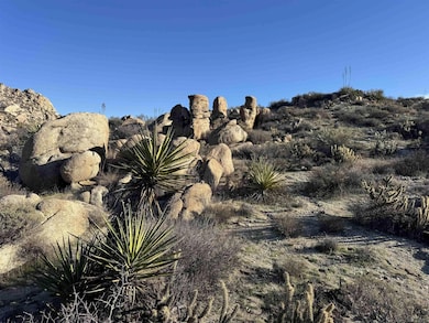 0000 In-Ko-pah Park Rd, Jacumba, CA 91934 - photo 3