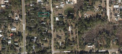 421 1st St, Steinhatchee, FL 32359 - photo 3