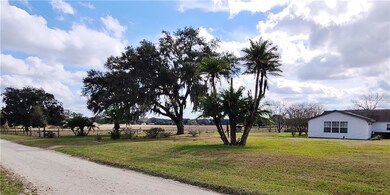 36120 Sunshine Rd, Zephyrhills, FL 33541 - photo 4