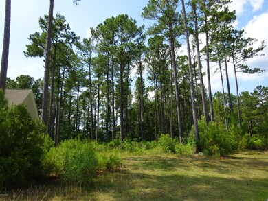 203 Canaan Ct, Jacksonville, NC 28546 - photo 4