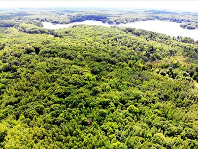DJI_0325