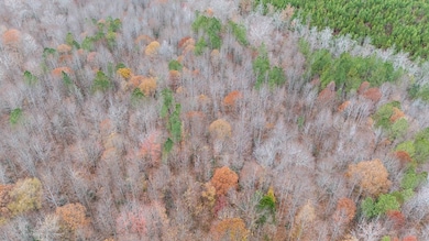 Lot 41 Oneal Rd, Champlain, VA 22438 - photo 7