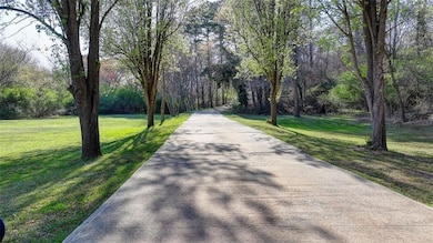 View of road featuring a view of trees