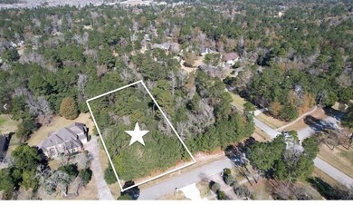 27315 E Benders Landing Blvd, Spring, TX 77386 - photo 5