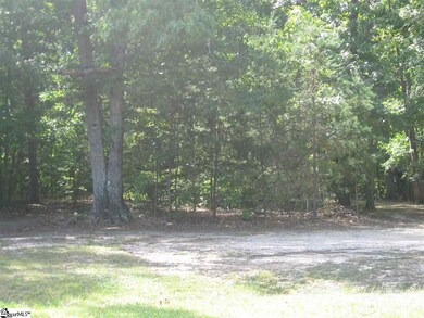 1245 New McElhaney Rd unit 10063 Old White Hors, Travelers Rest, SC 29690 - photo 3