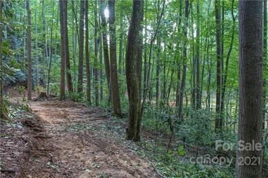 000 Fiver Ln, Hendersonville, NC 28792 - photo 4