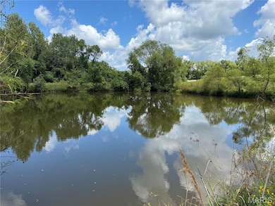 Water view with a forest
