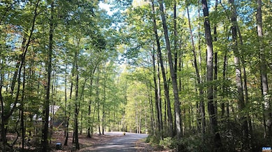 0 Oakcrest Ln unit 671080, Rockfish, VA 22958 - photo 6