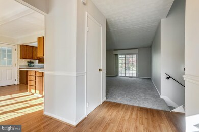 566 Wayward Dr, Annapolis, MD 21401 - photo 4