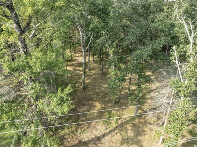 tbd Callender Lake Dr, Murchison, TX 75778 - photo 6